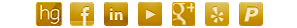 Social Media Icons